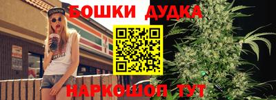 твердый Лесосибирск