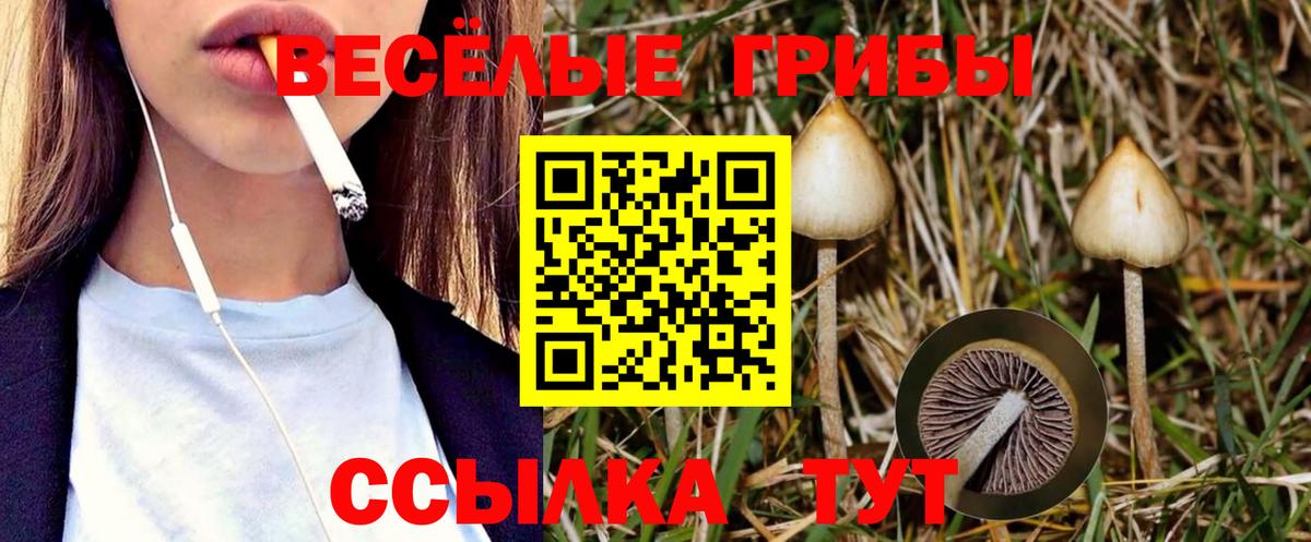 Галлюциногенные грибы Magic Shrooms Фурманов
