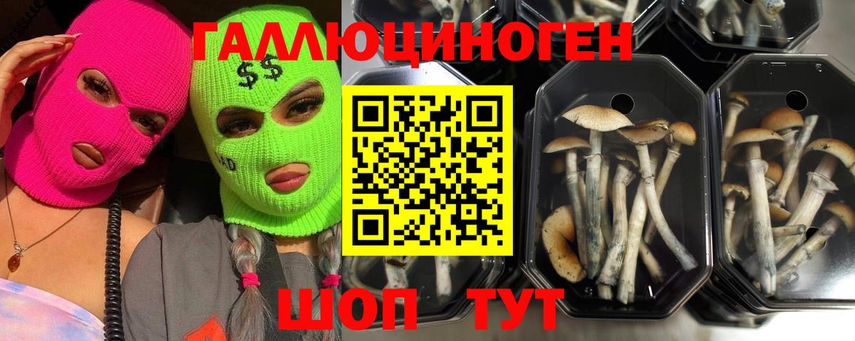 Галлюциногенные грибы мицелий  даркнет сайт  Фурманов  Вход с VPN 